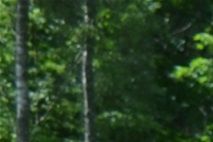 Närvarande skyttar lyssnar och i bakgrunden Rudolf´s vänner från Tyskland som studerar skjutningen med skyddsjägarna 2019.