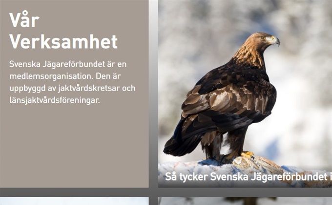 Klicka på länken under Jägareförbundets Verksamhet och läs mera  om ...